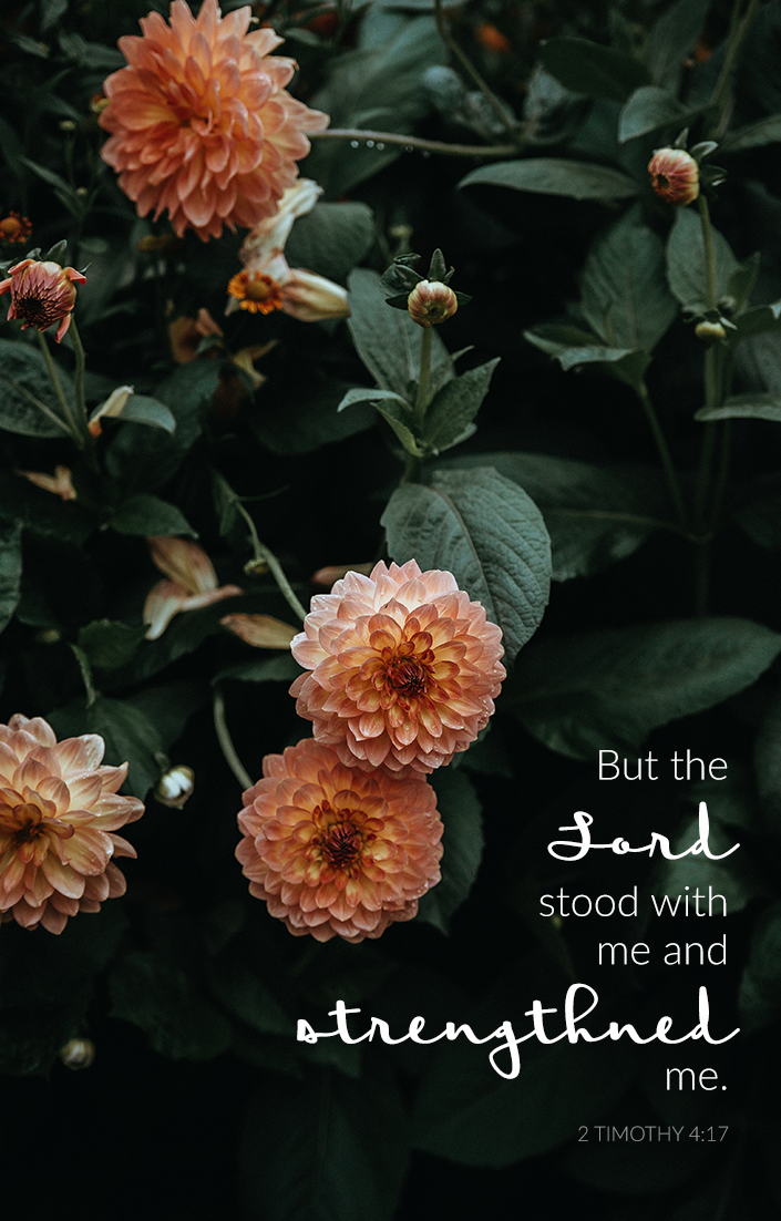 "But the Lord stood with me and strengthened me." 2 Timothy 4:17 | via TeresaTysinger.com scripture, encouragement, bible, christian, motivation, God, Jesus