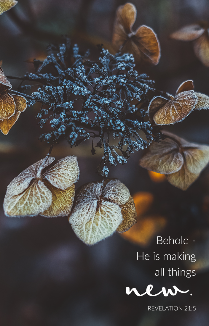 "Behold - He is making all things new." Revelation 21:5| via TeresaTysinger.com scripture, encouragement, bible, christian, motivation, God, Jesus, renewal