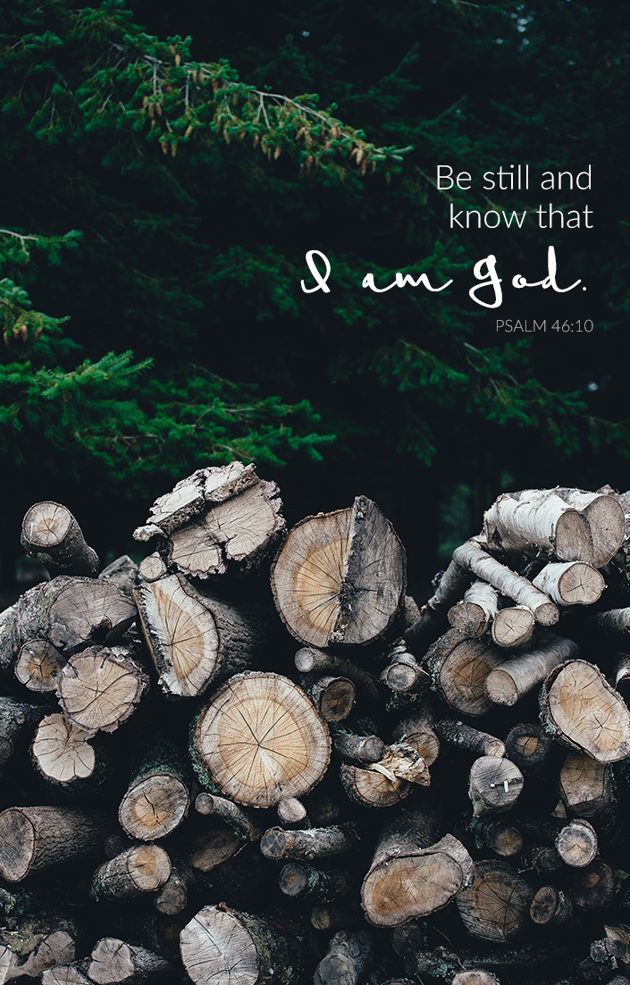 "BE STILL and know that I am God." Psalm 46:10 | via TeresaTysinger.com scripture, encouragement, bible, christian, motivation, God, Jesus, Be Still
